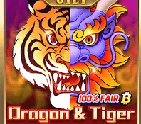 Dragon & Tiger — game at PTK99
